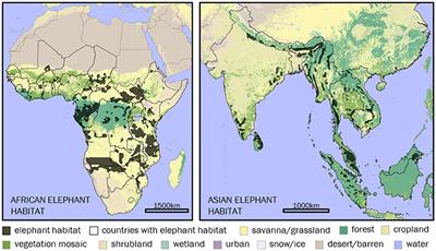 Frontiers | Human-Elephant Conflict: A Review of Current Management